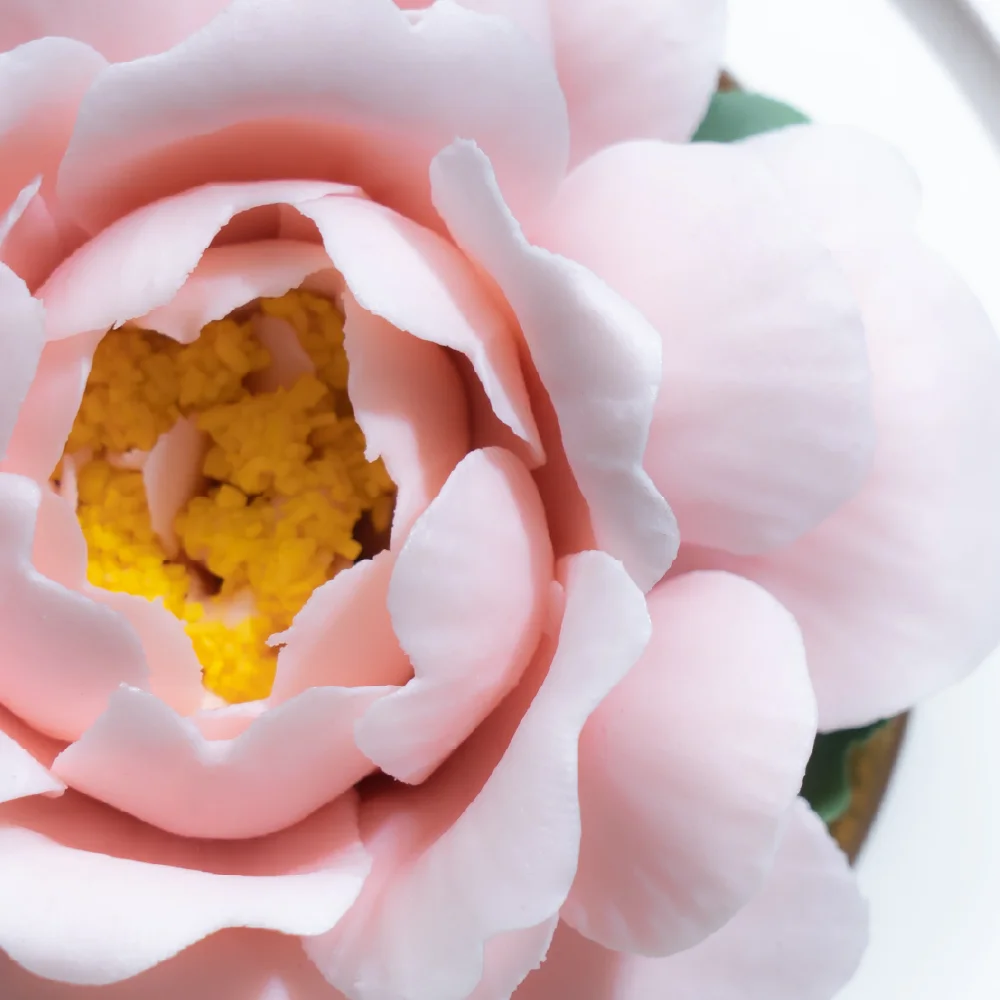 Intangible Cultural Heritage Hand-Pinched Pink Small Peony Ceramic Flower - Image 10